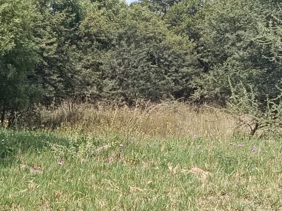 Commercial Property for Sale in Hartbeesfontein North West